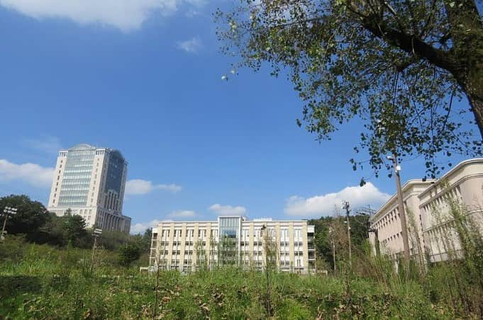 Soka Universityさんのインスタグラム写真 - (Soka UniversityInstagram)「Campus Seasonal Photos September ② 丹木の歳時記　長月ニ ⑴ Central Tower, Student Center and Faculty of Nursing・本部棟・学生センター・看護学部棟 ⑵ Spider lily・彼岸花(ヒガンバナ) ⑶ Cosmos・秋桜(コスモス) ⑷ Ginkgo・銀杏(ギンナン) ⑸ Pampas grass・パンパスグラス ⑹ Aralia cordata and Mantis・山独活(ヤマウド)の種&カマキリ ⑺ Paeonia japonica・山芍薬(ヤマシャクヤク) ⑻ White patrinia & Fritillary・男郎花(オトコエシ)&ヒョウモンチョウ ⑼ Scilla scilloides・蔓穂(ツルボ) ⑽ Crape myrtle・百日紅(サルスベリ) #discoversoka #sodaigram #sokauniversity #hachioji #tokyo #universitystudent #campuslife #september2020 #autumn2020 #fall2020 #fallsemester #studentsfirst #創価大学 #八王子 #学生 #キャンパス #９月 #長月 #秋学期」9月29日 10時24分 - sokauniversity