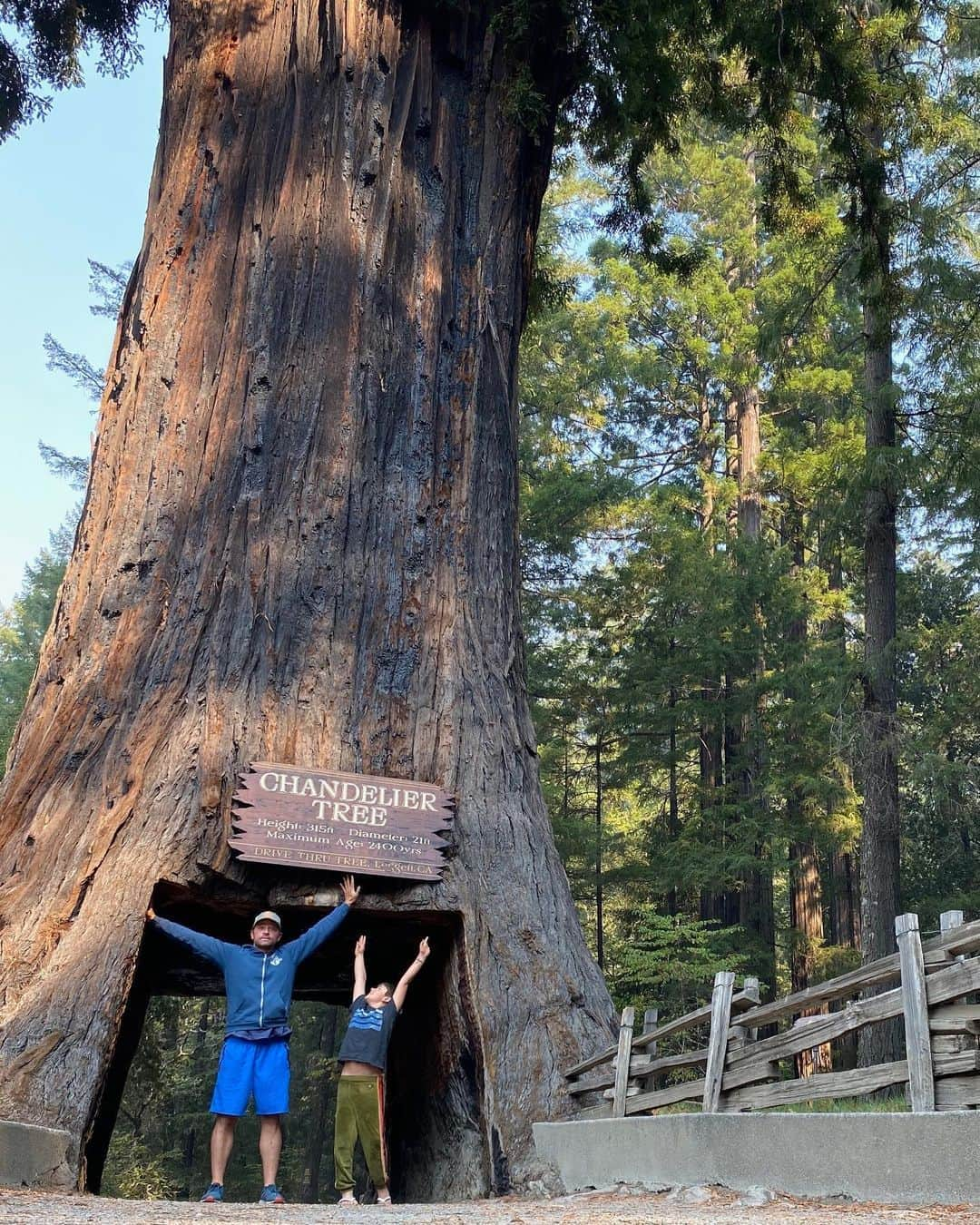 ミーシャ・コリンズさんのインスタグラム写真 - (ミーシャ・コリンズInstagram)「I don’t know what’s happening, but West & I appear to be shrinking. Weird.   It’s a beautiful country. Let’s save it. #SaveUSVoteBlue」9月29日 10時35分 - misha