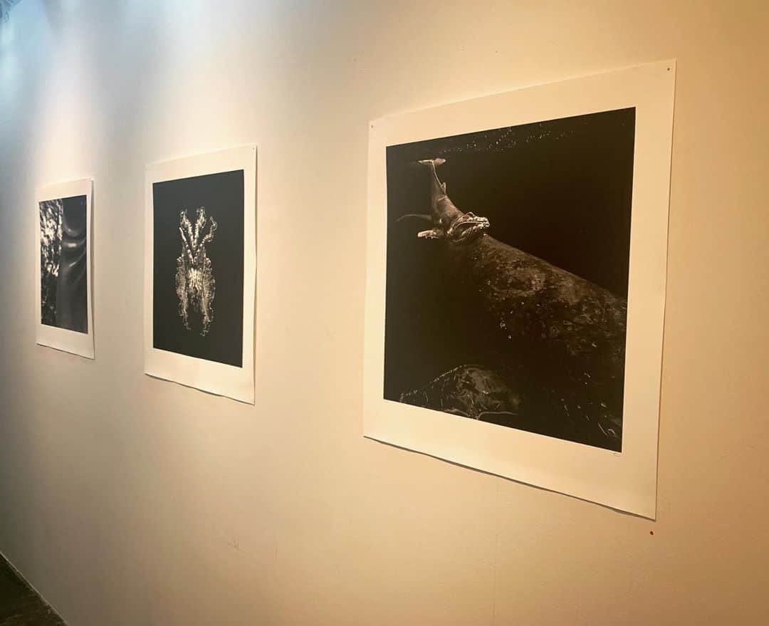 二木あいのグルメインスタ