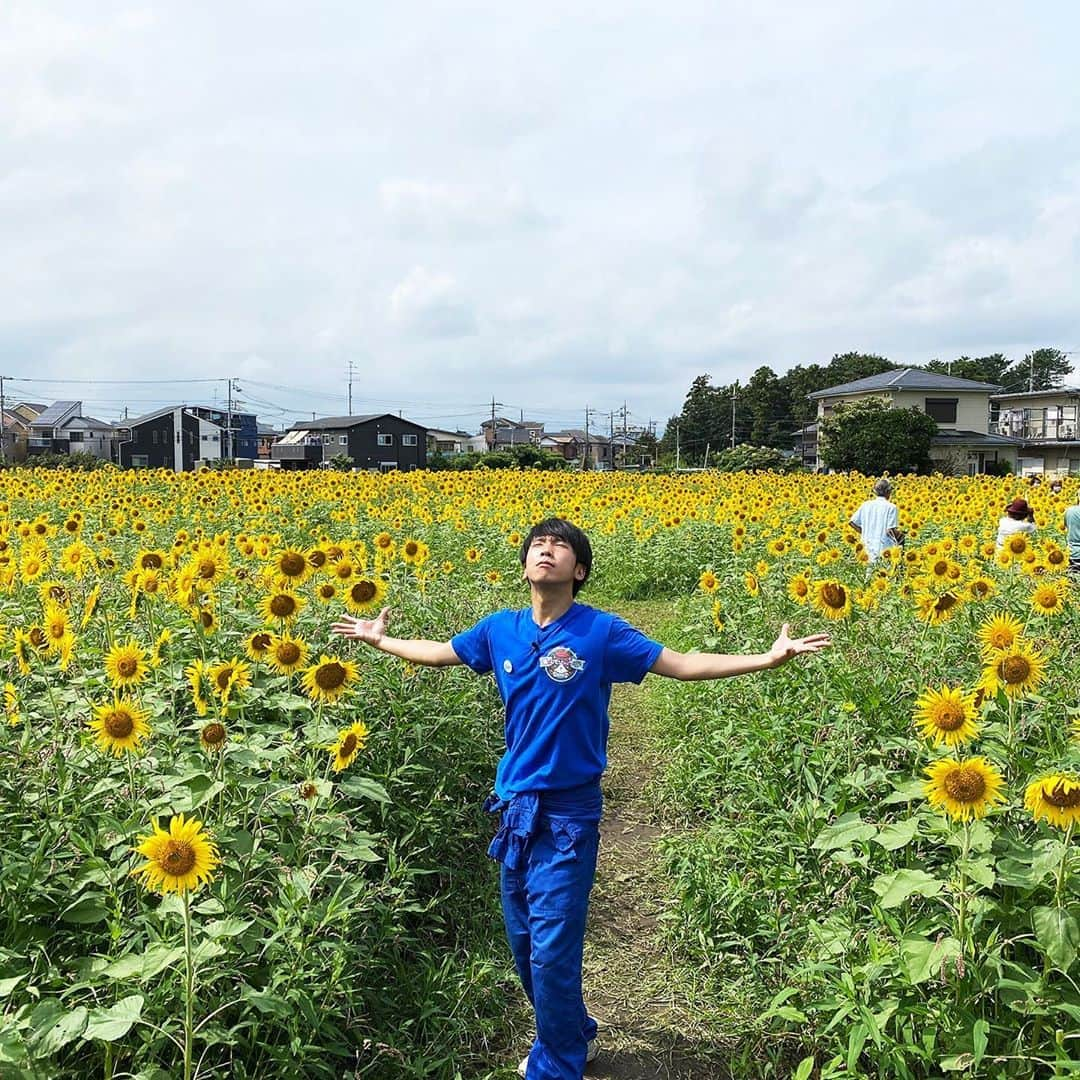 猫のひたいほどワイドさんのインスタグラム写真 - (猫のひたいほどワイドInstagram)「#小林且弥 の #猫ひた 火曜日  🕛お昼12時から生放送📺  潜入リポートはこの３本  ①主食を極めろ！お米を守る最後のお仕事(大磯町)  ②秋に満開!黄色が鮮やかな○○畑(藤沢市)  ③愛のために!木工製品を使ったお皿作り(清川村)  #石渡真修 & #井深克彦 も!」9月29日 10時45分 - nekohita_tvk