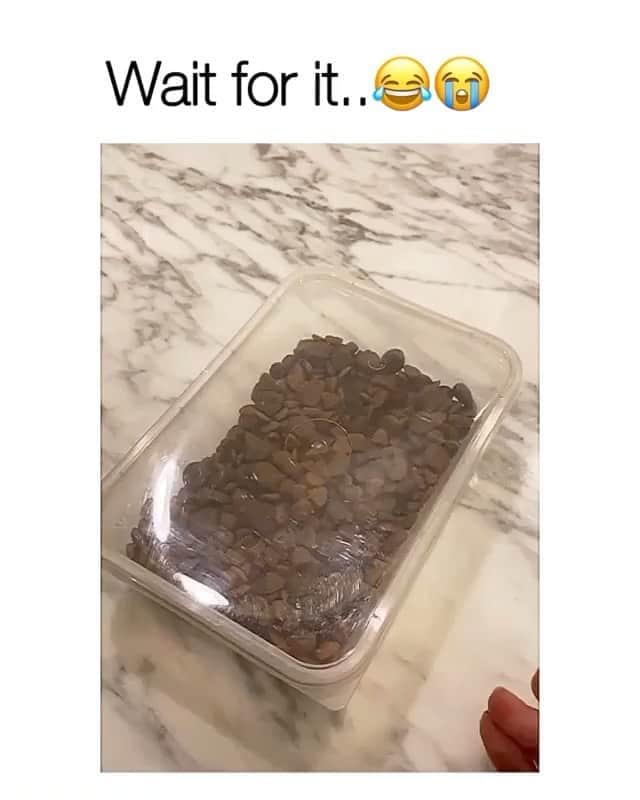 ヤスミン・アル＝マスリーのインスタグラム：「😂」