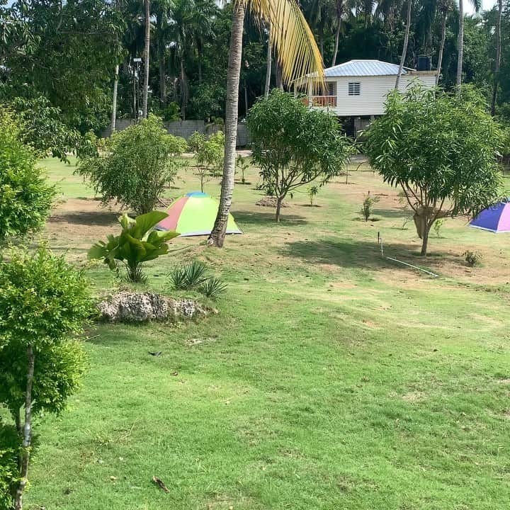 ジョーダン・ノルベルトのインスタグラム：「@haciendavistalinda 🦚🦚」
