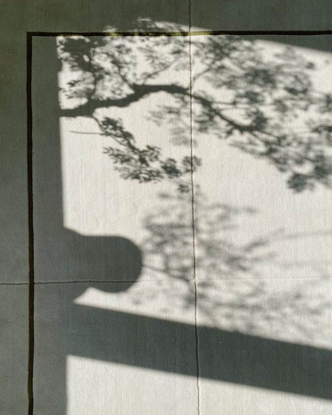 アリス・ガオのインスタグラム：「🌞🌿on new @nordicknots rug」