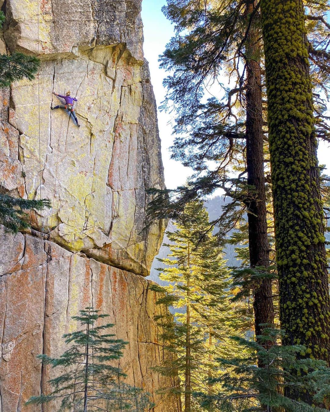 エミリー・ハリントンのインスタグラム：「When you claim that you’re quitting climbing cuz it’s just too hard then you quest up a work of art like this and find the love all over again....thnx @team_morgs for the stoke beta, @adrianballinger for the pic, and California granite for being gorgeous and inspiring despite also being finicky and dramatic and the source of so much internal angst 😆💕🙌💫🙏🏻 // ‘Fight the Power’ ✅ (12c) on a perfect clear fall day at the Leap yesterday - hoping for more days like this 🤞 // @thenorthface // @lasportivana // @petzl_official」