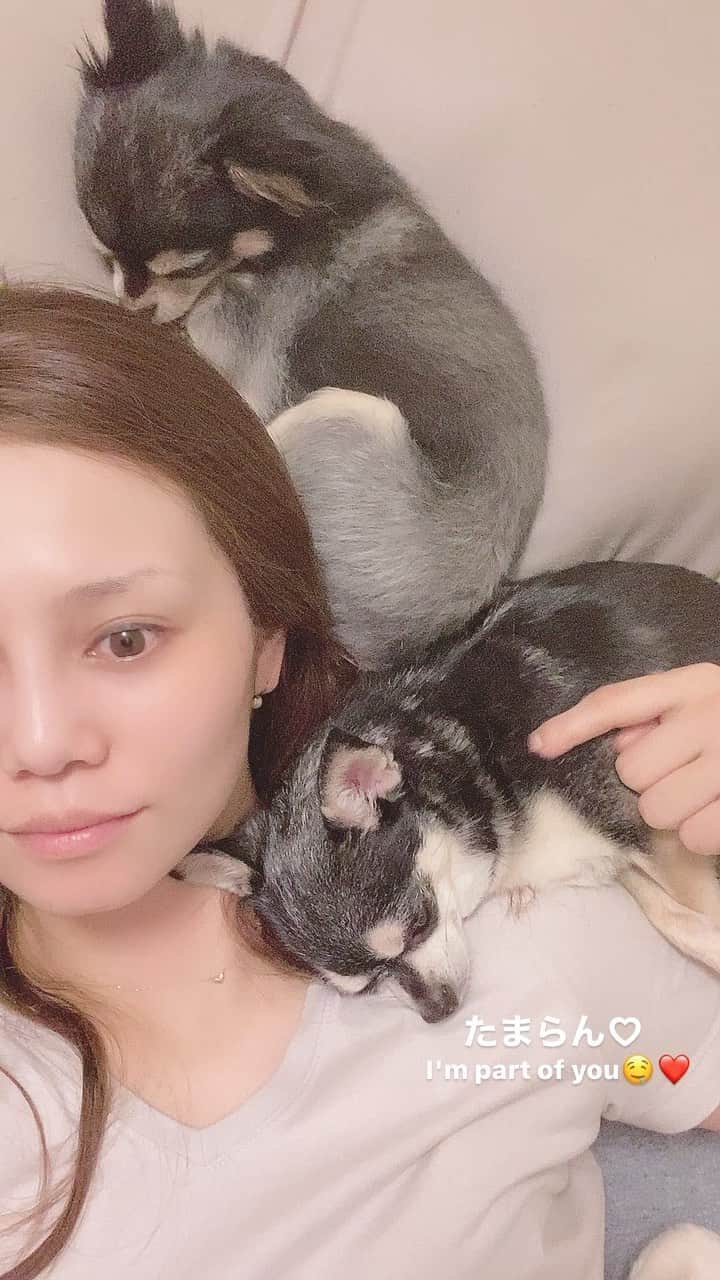 maika_kikitoyjijiのインスタグラム