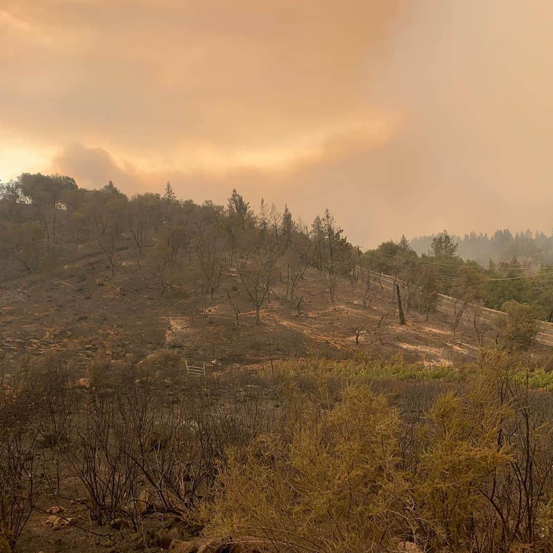 ダニカ・パトリックさんのインスタグラム写真 - (ダニカ・パトリックInstagram)「I have been thinking a lot about what the lesson is in the fire that came through my property last night.  • I finally cried this morning at the idea that something I have spent so much time, money, effort, passion, patience, and did I mention money, on..... could just be gone. The dirt is still there but it’s almost impossible to get insurance because of how many fires have come through. Thanks a lot for that. So it will require the next level of all of those things I have already invested.  • Then I stopped...... and thought, tonight I am going to bring a shit ton of Somnium over to my friends house and honor what the project ACTUALLY stands for in my heart..... and that’s to connect. To sit at the table with loved ones and share life with each other. No phones (unless you need to capture a great moment🤪). Open hearts. Honest sharing. Tears. Laughs. The real shit.  • The name somnium means dream in Latin. And the bottle has a red dot that implies - you are here. So, I invite you to join me tonight in opening up some wine with someone or many that you love and just have a blast. Tell stories and connect. Be present. Be here now. ✨ • As for an actual update..... your prayers and good vibes worked!!!!! Somehow the fires went mostly around the actual blocks! Thank you thank you thank you. ❤️ now let’s have a party to honor AND celebrate that we had some luck in 2020!!!!!  • The second picture is me 10 years ago when we had just started the planting process. There was a lot of rock on the land. Man has it been a journey!」9月29日 7時17分 - danicapatrick