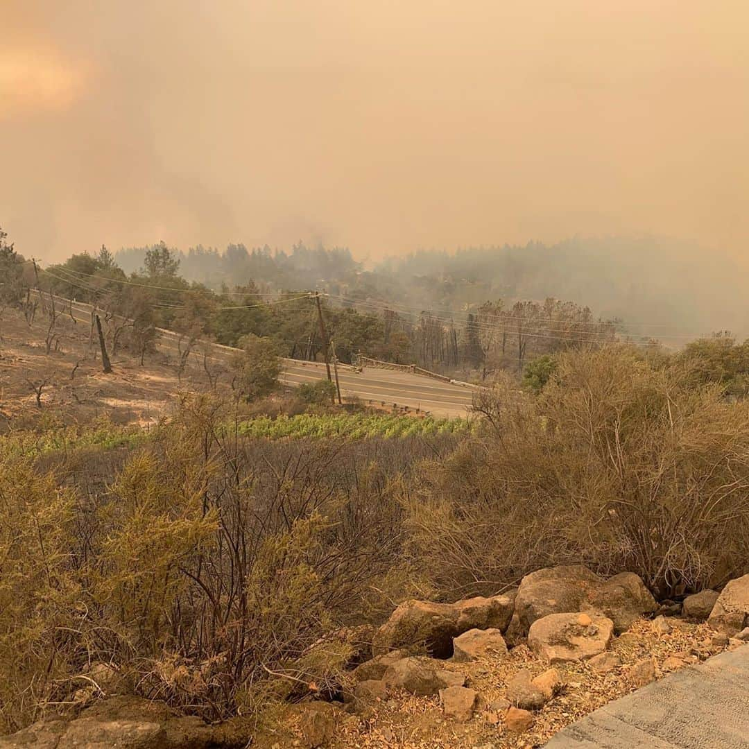 ダニカ・パトリックさんのインスタグラム写真 - (ダニカ・パトリックInstagram)「I have been thinking a lot about what the lesson is in the fire that came through my property last night.  • I finally cried this morning at the idea that something I have spent so much time, money, effort, passion, patience, and did I mention money, on..... could just be gone. The dirt is still there but it’s almost impossible to get insurance because of how many fires have come through. Thanks a lot for that. So it will require the next level of all of those things I have already invested.  • Then I stopped...... and thought, tonight I am going to bring a shit ton of Somnium over to my friends house and honor what the project ACTUALLY stands for in my heart..... and that’s to connect. To sit at the table with loved ones and share life with each other. No phones (unless you need to capture a great moment🤪). Open hearts. Honest sharing. Tears. Laughs. The real shit.  • The name somnium means dream in Latin. And the bottle has a red dot that implies - you are here. So, I invite you to join me tonight in opening up some wine with someone or many that you love and just have a blast. Tell stories and connect. Be present. Be here now. ✨ • As for an actual update..... your prayers and good vibes worked!!!!! Somehow the fires went mostly around the actual blocks! Thank you thank you thank you. ❤️ now let’s have a party to honor AND celebrate that we had some luck in 2020!!!!!  • The second picture is me 10 years ago when we had just started the planting process. There was a lot of rock on the land. Man has it been a journey!」9月29日 7時17分 - danicapatrick