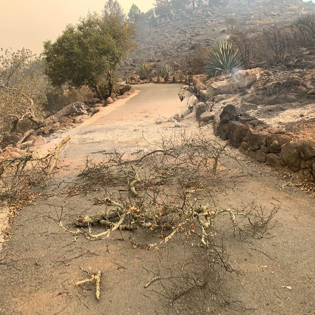 ダニカ・パトリックさんのインスタグラム写真 - (ダニカ・パトリックInstagram)「I have been thinking a lot about what the lesson is in the fire that came through my property last night.  • I finally cried this morning at the idea that something I have spent so much time, money, effort, passion, patience, and did I mention money, on..... could just be gone. The dirt is still there but it’s almost impossible to get insurance because of how many fires have come through. Thanks a lot for that. So it will require the next level of all of those things I have already invested.  • Then I stopped...... and thought, tonight I am going to bring a shit ton of Somnium over to my friends house and honor what the project ACTUALLY stands for in my heart..... and that’s to connect. To sit at the table with loved ones and share life with each other. No phones (unless you need to capture a great moment🤪). Open hearts. Honest sharing. Tears. Laughs. The real shit.  • The name somnium means dream in Latin. And the bottle has a red dot that implies - you are here. So, I invite you to join me tonight in opening up some wine with someone or many that you love and just have a blast. Tell stories and connect. Be present. Be here now. ✨ • As for an actual update..... your prayers and good vibes worked!!!!! Somehow the fires went mostly around the actual blocks! Thank you thank you thank you. ❤️ now let’s have a party to honor AND celebrate that we had some luck in 2020!!!!!  • The second picture is me 10 years ago when we had just started the planting process. There was a lot of rock on the land. Man has it been a journey!」9月29日 7時17分 - danicapatrick