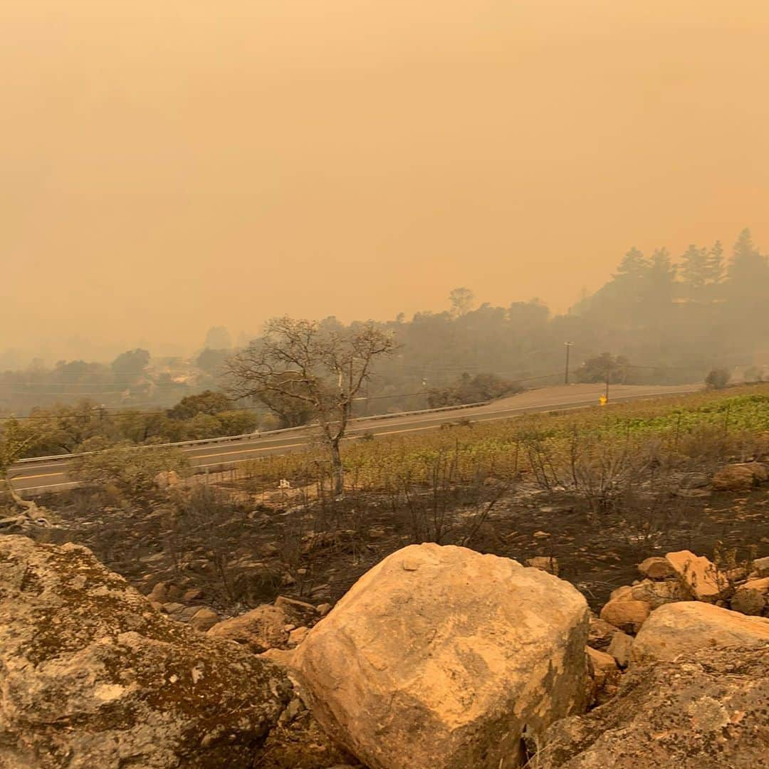 ダニカ・パトリックさんのインスタグラム写真 - (ダニカ・パトリックInstagram)「I have been thinking a lot about what the lesson is in the fire that came through my property last night.  • I finally cried this morning at the idea that something I have spent so much time, money, effort, passion, patience, and did I mention money, on..... could just be gone. The dirt is still there but it’s almost impossible to get insurance because of how many fires have come through. Thanks a lot for that. So it will require the next level of all of those things I have already invested.  • Then I stopped...... and thought, tonight I am going to bring a shit ton of Somnium over to my friends house and honor what the project ACTUALLY stands for in my heart..... and that’s to connect. To sit at the table with loved ones and share life with each other. No phones (unless you need to capture a great moment🤪). Open hearts. Honest sharing. Tears. Laughs. The real shit.  • The name somnium means dream in Latin. And the bottle has a red dot that implies - you are here. So, I invite you to join me tonight in opening up some wine with someone or many that you love and just have a blast. Tell stories and connect. Be present. Be here now. ✨ • As for an actual update..... your prayers and good vibes worked!!!!! Somehow the fires went mostly around the actual blocks! Thank you thank you thank you. ❤️ now let’s have a party to honor AND celebrate that we had some luck in 2020!!!!!  • The second picture is me 10 years ago when we had just started the planting process. There was a lot of rock on the land. Man has it been a journey!」9月29日 7時17分 - danicapatrick