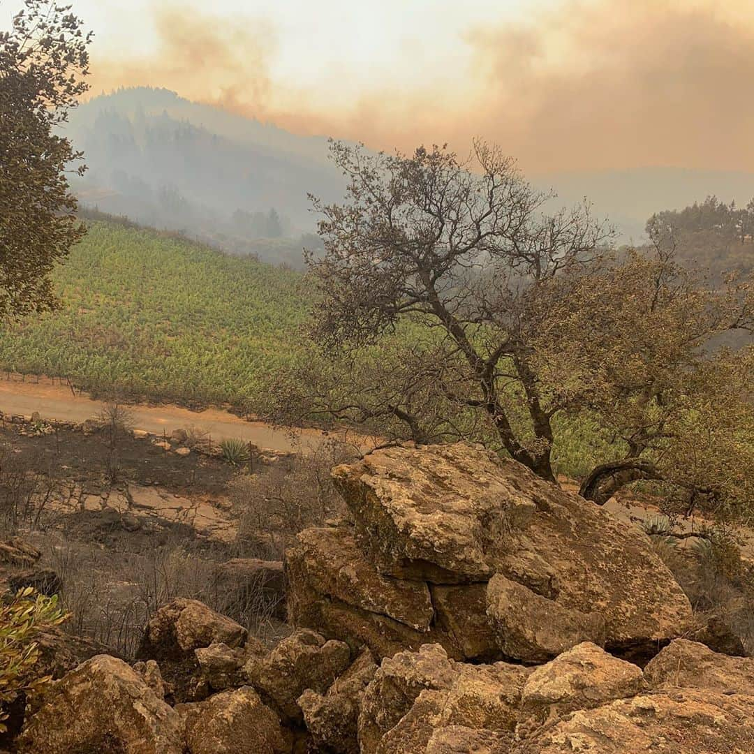 ダニカ・パトリックさんのインスタグラム写真 - (ダニカ・パトリックInstagram)「I have been thinking a lot about what the lesson is in the fire that came through my property last night.  • I finally cried this morning at the idea that something I have spent so much time, money, effort, passion, patience, and did I mention money, on..... could just be gone. The dirt is still there but it’s almost impossible to get insurance because of how many fires have come through. Thanks a lot for that. So it will require the next level of all of those things I have already invested.  • Then I stopped...... and thought, tonight I am going to bring a shit ton of Somnium over to my friends house and honor what the project ACTUALLY stands for in my heart..... and that’s to connect. To sit at the table with loved ones and share life with each other. No phones (unless you need to capture a great moment🤪). Open hearts. Honest sharing. Tears. Laughs. The real shit.  • The name somnium means dream in Latin. And the bottle has a red dot that implies - you are here. So, I invite you to join me tonight in opening up some wine with someone or many that you love and just have a blast. Tell stories and connect. Be present. Be here now. ✨ • As for an actual update..... your prayers and good vibes worked!!!!! Somehow the fires went mostly around the actual blocks! Thank you thank you thank you. ❤️ now let’s have a party to honor AND celebrate that we had some luck in 2020!!!!!  • The second picture is me 10 years ago when we had just started the planting process. There was a lot of rock on the land. Man has it been a journey!」9月29日 7時17分 - danicapatrick