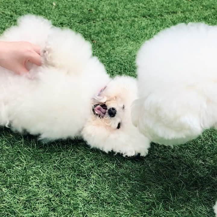 ゆうのインスタグラム：「. . おはようございます🥰 . . . . #こいこいアーニーさん #しらす氏来い来い . . .」