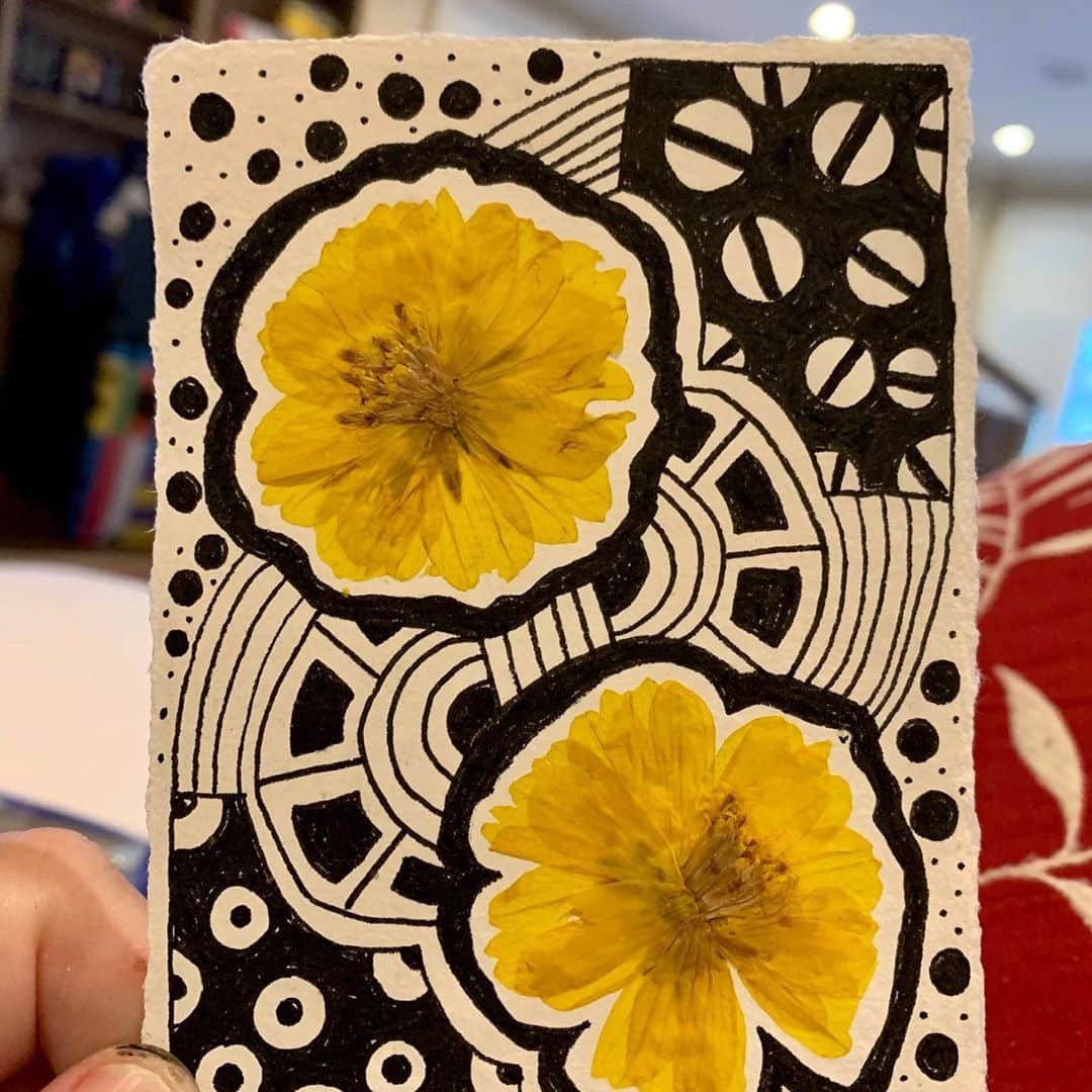 ロージー・オドネルさんのインスタグラム写真 - (ロージー・オドネルInstagram)「6 teenys - note cards of my work will be available for purchase in October #doodles #voteBLUE #pressedflowers #art」9月29日 7時29分 - rosie