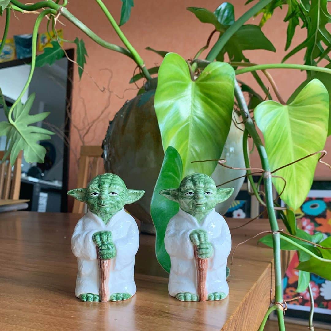 照屋 健太郎のインスタグラム：「vintage yoda 1983💚」