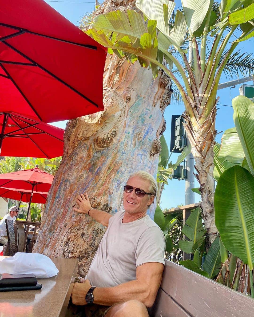ドルフ・ラングレンのインスタグラム：「Enjoying lunch in Laguna Beach in the shade of this amazing 170 year old Eucalyptus tree. The tree was planted around the time California became a part of the United States. Pretty cool👍🏻👍🏻」