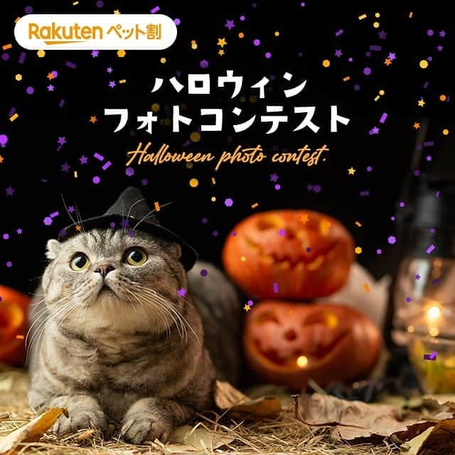 【公式】楽天ペット割のインスタグラム：「.⁣ 🐶ハロウィンフォトコンテスト🐱⁣ 11月2日(月)09:59まで♪かわいい衣装を身にまとったうちのこ自慢をして、 ステキな商品をゲットしませんか。 ＼プレゼント／⁣ 🎁　猫柄　温泉用バッグ 🎁　名入れキーホルダー　プードル柄 ⁣ 楽天ペット割では、ペットのハロウィン写真・動画を募集しています！⁣ かわいく仮装したペット、ハロウィンにちなんだ写真や動画など、⁣ 皆さんのご応募をお待ちしています✨⁣ ⁣ ⁣ 【参加方法】⁣ ① @rakuten_petwari をフォロー⁣ ② #rハロウィン のハッシュタグをつけてペットのハロウィンコスプレ写真をInstagramに投稿していること。⁣ ⁣ 【期間】⁣ 2020年9月1日(火)10:00～ 2020年11月2日(月)09:59⁣ .⁣ 【当選者数と賞品】⁣ 💠猫優秀賞　3名様　猫柄　温泉用バッグhttps://item.rakuten.co.jp/osyarehime/56558902/  💠犬優秀賞　3名様　 名入れキーホルダー　プードル柄 https://item.rakuten.co.jp/nico-web/sl1400/  ※入賞された方には、発表時のダイレクトメッセージにて、確認させていただきます。⁣ ⁣ .⁣ 【入賞者発表】⁣ 発表11月9日(月)頃を予定しております。⁣ ・入賞された方には、ご応募いただいたInstagramアカウントに@rakuten_petwari より、2020年11月中旬頃、ダイレクトメッセージでご連絡いたします。⁣ ※当選に関わるお問い合わせには、一切お答えいたしかねますので、ご了承ください。⁣ ⁣ ＜ご注意＞⁣ ＊フォロワー様、かつ国内にお住まいの方限定です。⁣ ＊すでにフォローされている方も参加可能です。⁣ ＊入賞者に選ばれた場合楽天会員アカウントが必要となります。会員でない方は楽天会員登録をお願いします。⁣ ＊ #rハロウィン のハッシュタグと共に投稿された画像は、当社が運営するキャンペーンページにも自動的に掲載されます。⁣ ＊応募作品の撮影時期は問いません。投稿は一人何回でも可能です。⁣ ＊投稿内容について当社は、当社の広報宣伝・プロモーションの目的で、当社Webページのほか、インターネット（SNSを含む）、テレビCM、新聞、雑誌、カタログ・チラシ等の各種印刷物、イベント展示等、各種媒体において無償で利用できるものとします。またその際当社は投稿内容を自由に複製および加工・編集（トリミングや、他の素材と組み合わせて使用することを含む）できるものとします。⁣ ＊当社は、本キャンペーンへの応募により応募者および第三者に生じたトラブルや損害（直接・間接を問いません）等について一切の責任を負いかねます。⁣ ＊ #rハロウィン のハッシュタグをつけた投稿についてはすべて、これらの注意事項に同意されたものとみなします。⁣ ＊アカウント非公開・ハッシュタグがついていない投稿は、応募対象外となります。⁣ ＊やむを得ない事情により、賞品は予告なく変更となることがあります。⁣ ＊通信の際の接続トラブルにつきましては責任を負いかねますので、予めご了承ください。⁣ ＊インスタグラムの仕様/運用に伴い、本サービスの一部またはすべてを事前に通知することなく変更・中断あるいは中止または終了する場合がございます。⁣ ＊キャンペーンへの接続にかかる費用につきましては利用者ご自身の負担となります。⁣ ＊当社は事前に通知することなく、このサイトの内容および本キャンペーン概要、利用規約を変更することがございますので、予めご了承ください。⁣ プライバシーポリシーについては、https://privacy.rakuten.co.jp/ をご確認ください。⁣ たくさんのご応募お待ちしております！⁣ ⁣ #楽天ペット割 #rakutenpet #rハロウィン #プレゼント企画 #フォトコンテスト #犬スタグラム #犬好きさんと繋がりたい #犬 #dog #instadog #dogstagram #doglover #ふわもこ部 #ふわもこ部ワンコ #ねこ #ネコ #cat #猫 #catstagram #neko #ねこ部 #にゃんすたぐらむ」