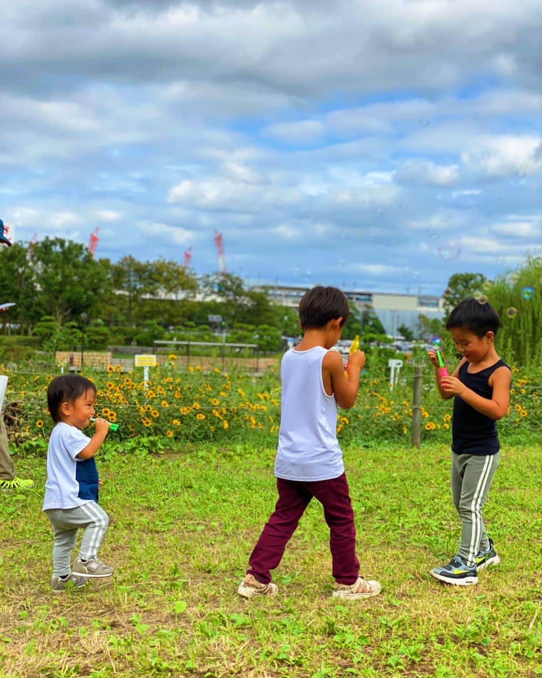 加藤怜のインスタグラム：「. 外遊びに 積極的になれる季節♡ . 購買意欲も 高まる季節♡ . 夏に買いそびれたテント。 来年の夏に買おうと思ってたんだけど もしかして秋冬も使えちゃう⛺️？ . #外遊び #公園遊び  #葛西臨海公園」