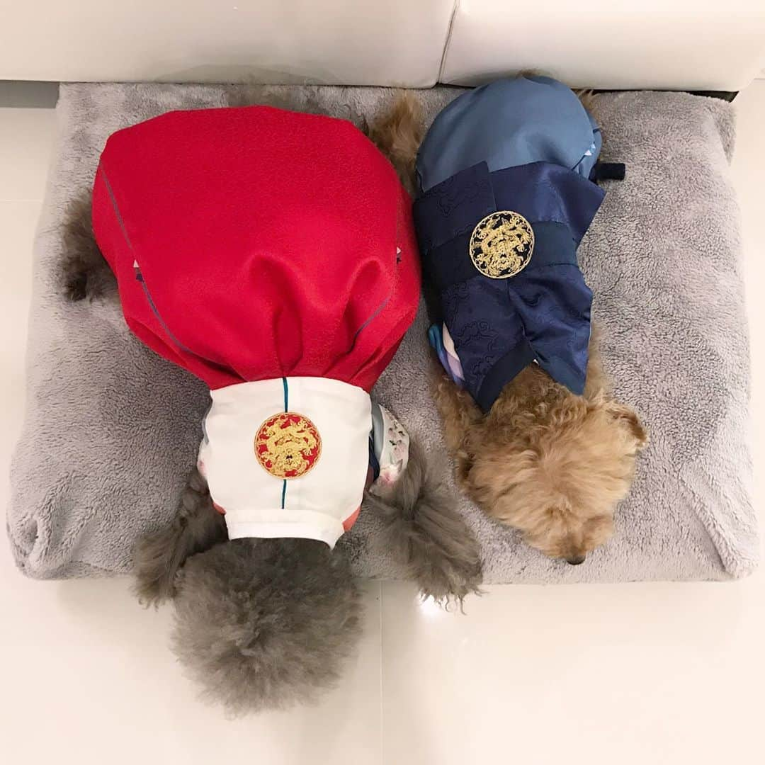 キム・ジュニさんのインスタグラム写真 - (キム・ジュニInstagram)「모두 풍요로운 추석되세요♥️」9月29日 20時14分 - evajunie