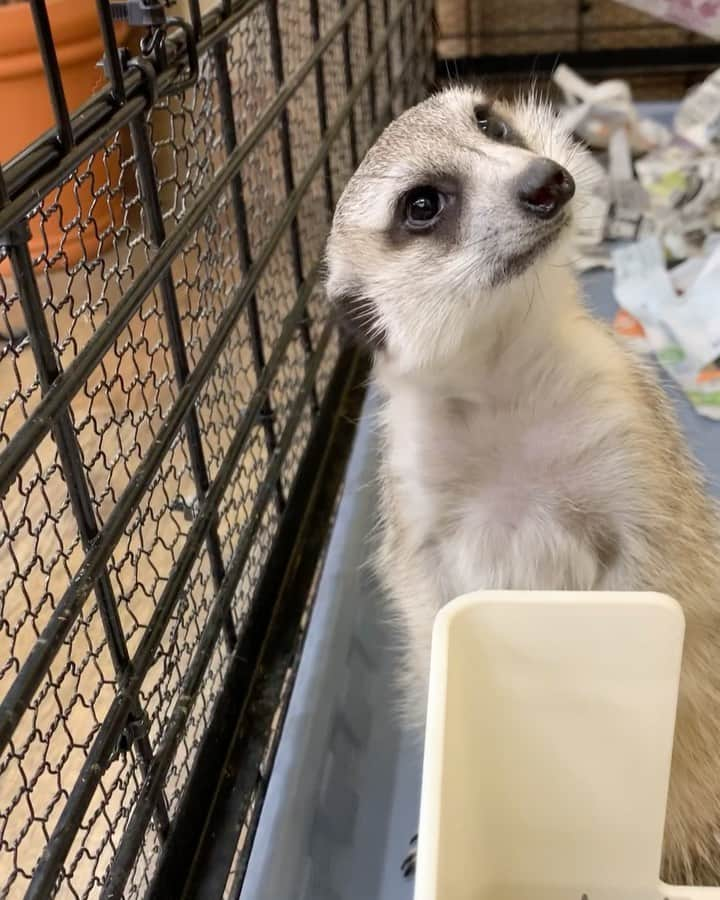 【公式】福岡ECO動物海洋専門学校のインスタグラム