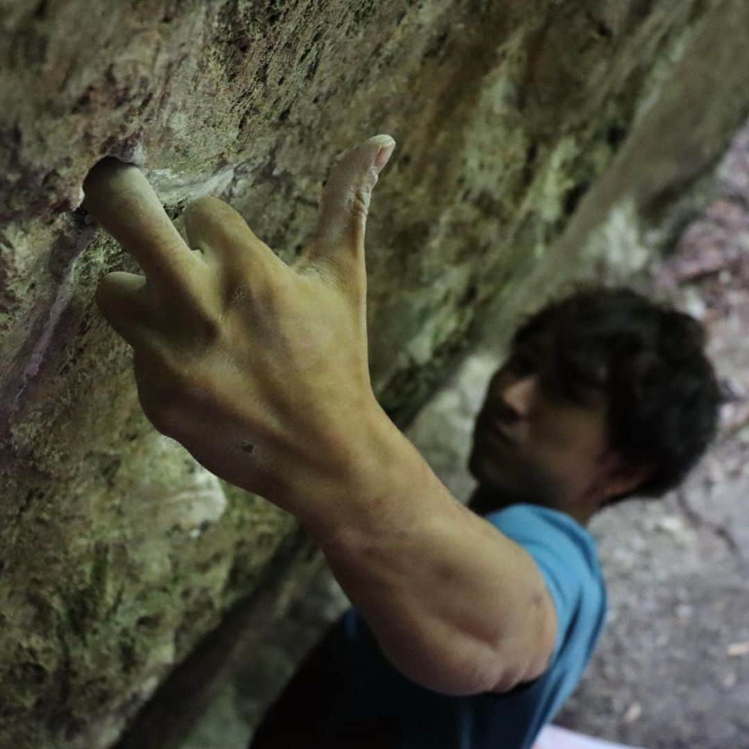 野村真一郎のインスタグラム：「Hallucination(8C/V15)🏔  一昨日は久々に鳳来へ。 まだまだ湿度は高いけど、気温はだいぶちょうど良い感じになってきて、シーズンスタート手前だという事を実感する事が出来て嬉しかった。  生涯目標の一つである、ハルシネーション(V15)をトライしてきた。 一本指アンダーから一本指サイドアンダーへデッドし、更にそこから二本指アンダーにデッドするという、狂気的なムーブが連続しているライン。これが17年前(2003年)に初登 @dai_koyamada されてると思うとまじで狂ってるとしか思えない。。笑 そしてそこから再登無し。  全てバラすことはできなかったけど、イドに合流するパートは解決することが出来た。 一本指なのに動きが大きすぎてすぐパキりそうになるから精神的にもかなりキツいし、1日の中でトライ回数も多くこなせないのが辛いポイント。  まだ繋がるイメージは湧かないけど、今シーズンから本格的に狙います🔥  I went to Hōrai area (Pref. Aichi) for the first time in a while. Yet the humidity was high, the temperature was comfortable to climb so i’m happy that the climbing season has been coming.  This day I tried hallucination (V15) which is one of my biggest target. This route has crazy Beta in succession, at first I must do daedpoint from one finger under hold to two finger under. I’m really impressed that nobody have sent the route since 2003, in short, only one climber sent the route then. FA @dai_koyamada   I couldn’t solve all parts though, i could do the crux one finger under to two finger under. Despite one finger hold, the crux requires very dynamic moves and puts huge stress to both finger joints and mental. therefore i cannot try a lot in a day.  I can’t imagine how to send, but in this season, i concentrate on the hallucination（V15)🔥  @rokdo_team @monturajapan @montura_official @unparallelup @rockmasterhq @hamasakichiryoin0929 @clover_resole」