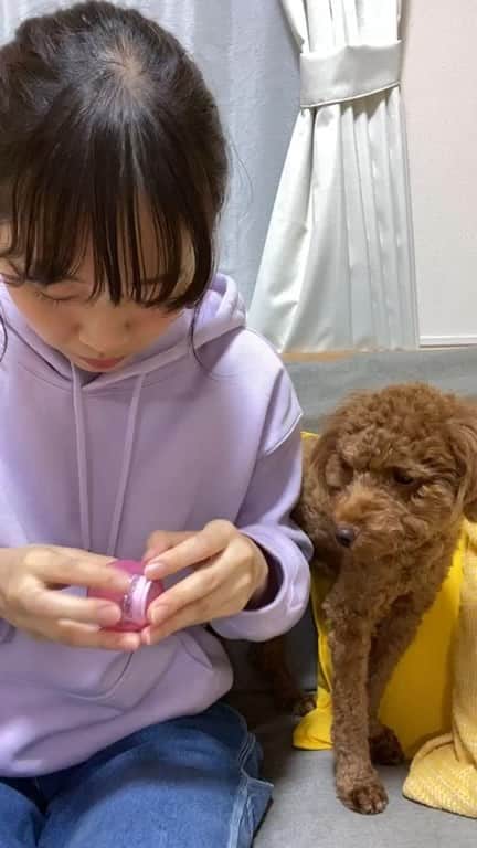 郡司りかのインスタグラム