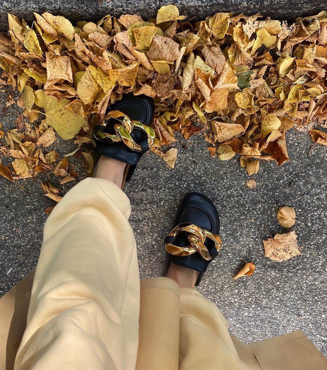 ペニーレ・タイスベックのインスタグラム：「🍂🍁🍂」