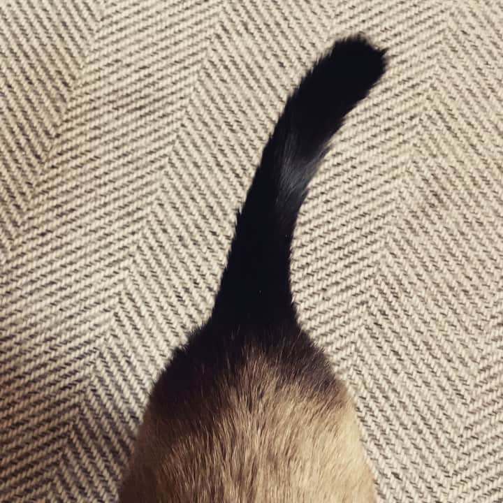 MAKO0MAKO0のインスタグラム