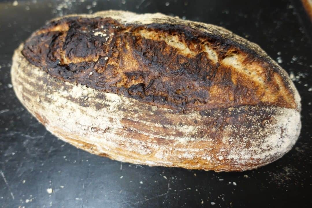 魔女菅原のグルメインスタ