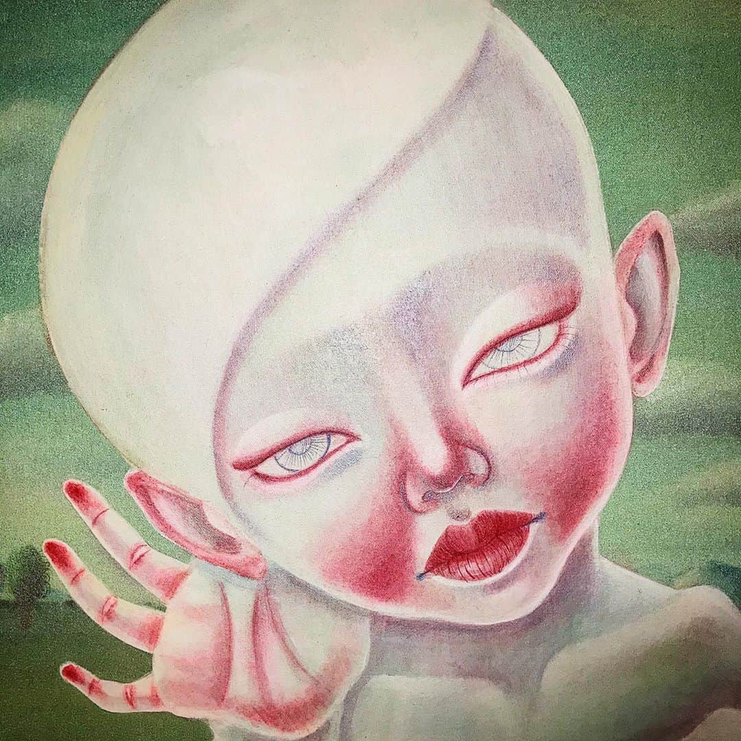 こうぶんこうぞうのインスタグラム