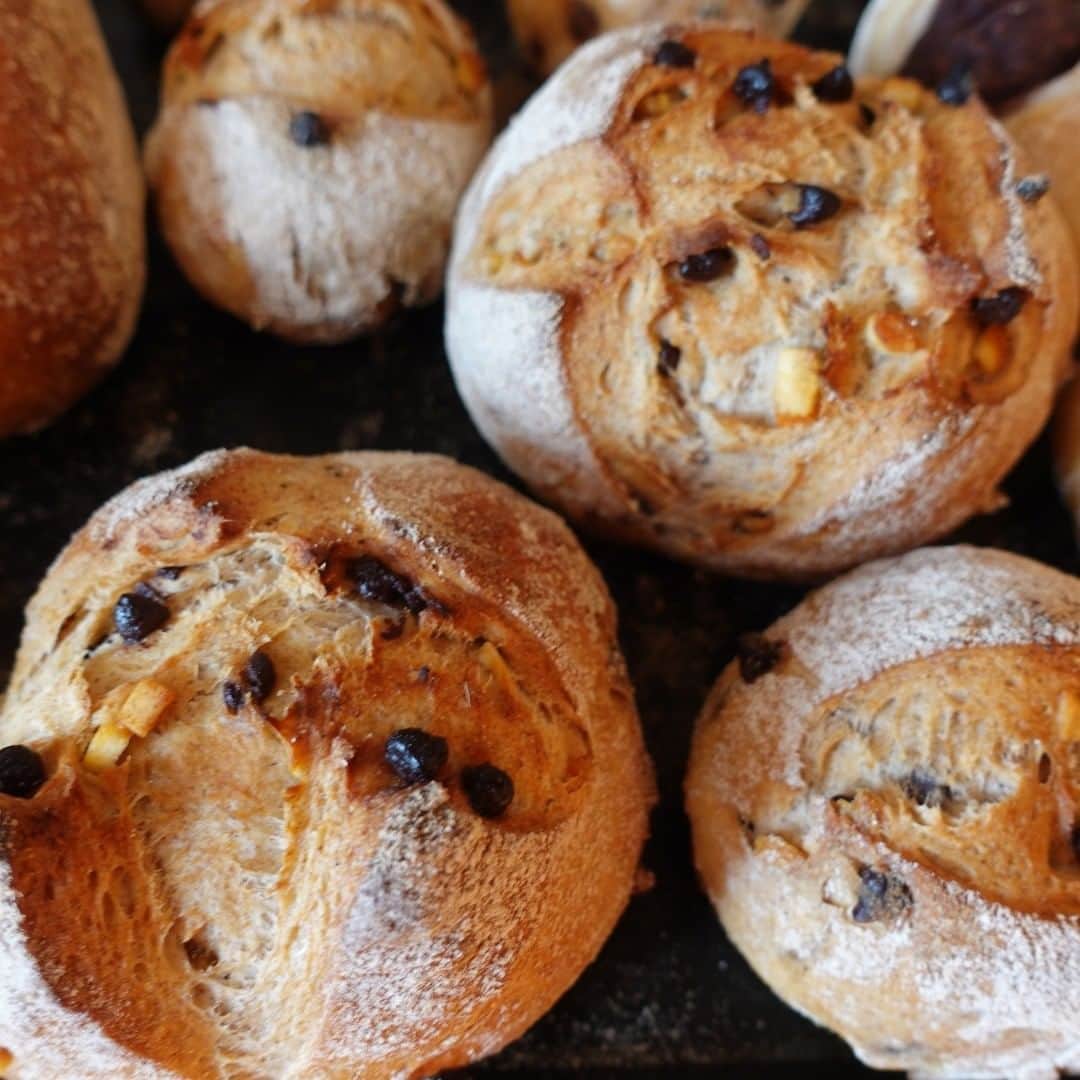 魔女菅原のグルメインスタ