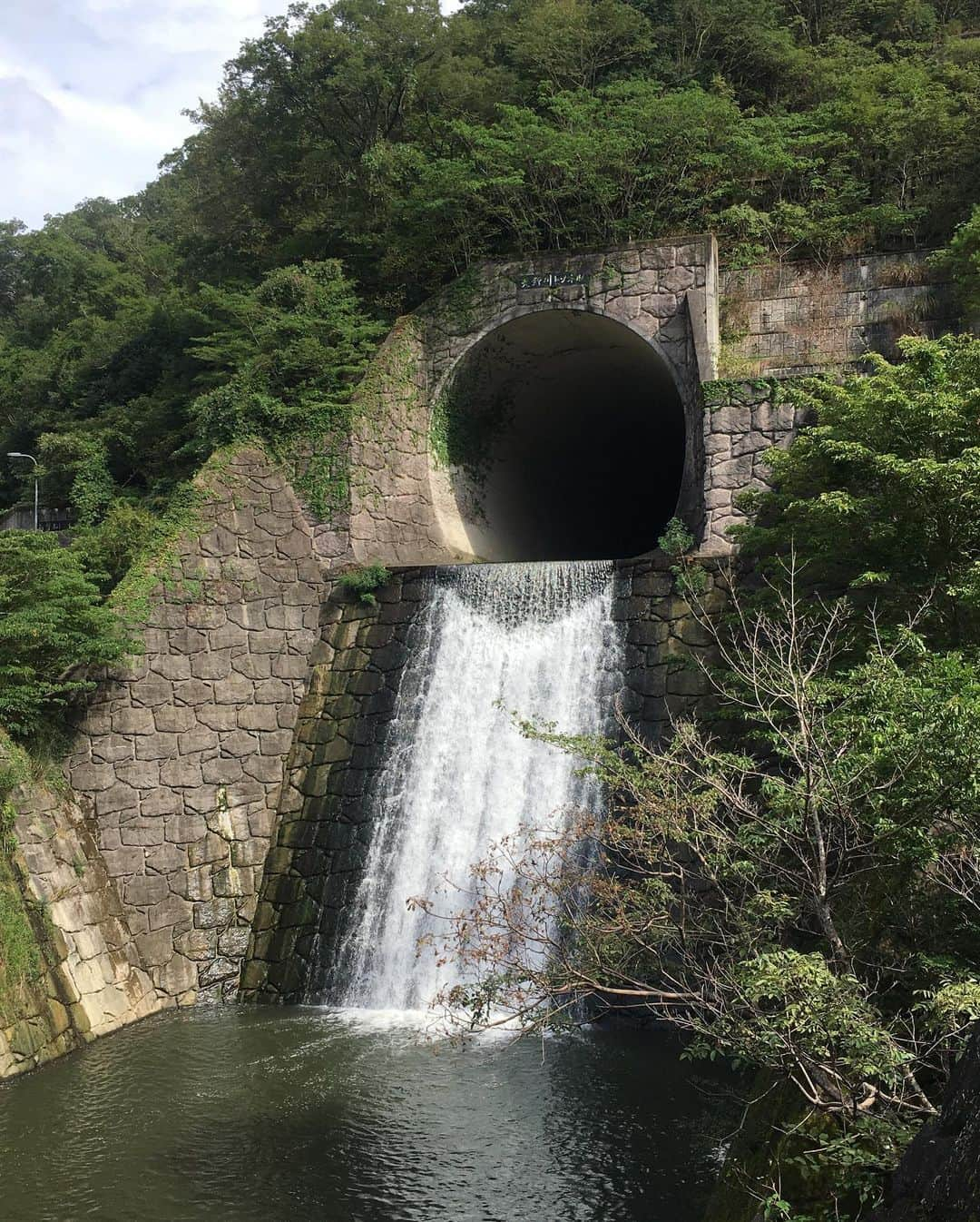 水谷千重子さんのインスタグラム写真 - (水谷千重子Instagram)「皆様！ 10月から一男ちゃんがナビゲートする新番組が始まります👏👏👏 友近ちゃんが関西の素敵なスポットをドライブしながら紹介する番組👍 2人の初共演！？🤣🤣 ほな行こCar! 〜寄りみちドライブ〜 10/4（日）20:56スタート  出演:友近、西尾一男、木村沙織、岡副真希、八塚彩美、齋藤真美 ポツンと一軒家のすぐあとね！ ミニ番組！ 関西ローカルです🙇‍♀️ ABCです。 #ほな行こCar!〜寄りみちドライブ〜 #西尾一男 #位置がわるい #ドライブ #友近ちゃん #吊り橋 #トンネルダム #写し鏡 #ネクスコ西日本」9月29日 11時55分 - mizutanichieko