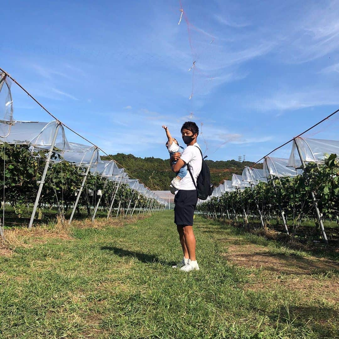 澤上竜二さんのインスタグラム写真 - (澤上竜二Instagram)「芽野歌果樹園！ 瀬戸ジャイアンツが美味しすぎた。 #今治#自然#ぶどう狩り#果樹園 #次はみかん狩り行きたいな」9月29日 12時55分 - sawakami.ryuji