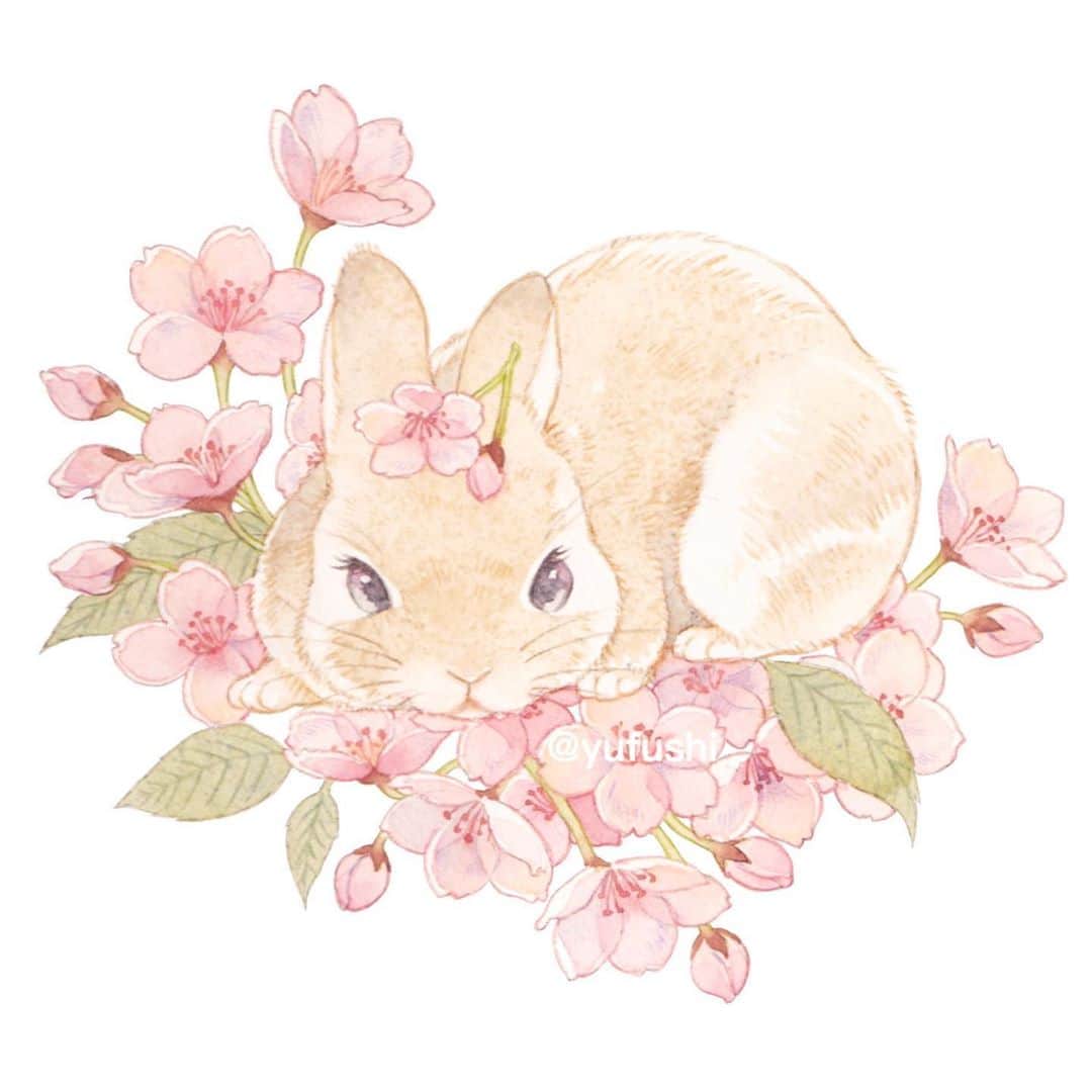 友風子 Yufushiさんのインスタグラム写真 友風子 Yufushiinstagram ハイビスカスとうさぎ Illustration イラスト Watercolor 水彩 うさぎ Rabbit ホト ドワーフホト 9月30日 21時52分 Uko Yufushi
