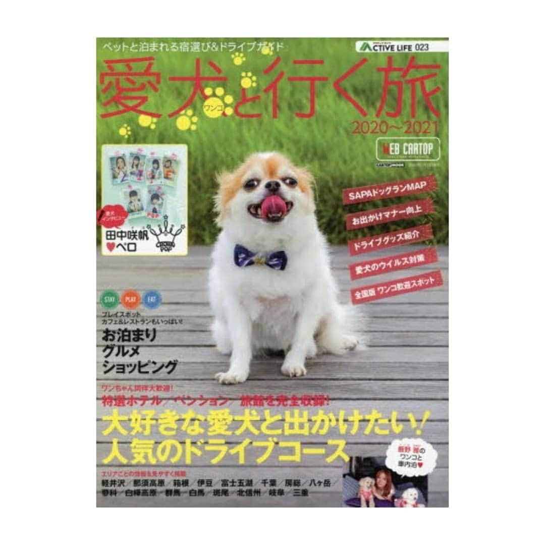 田中咲帆さんのインスタグラム写真 - (田中咲帆Instagram)「【告知】  本日発売の『愛犬(ワンコ)と行く旅』に私と田中家の愛犬、ペロが掲載されています🐶  表紙にもペロが載っています！  全国の書店やネットにて販売されてるので、ぜひぜひチェックしてみてください👀  #るんるん」9月29日 14時03分 - saho_crownpop