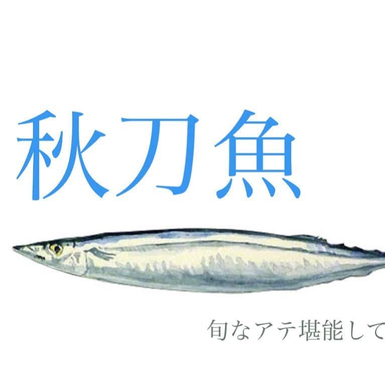 どんがめJR神戸店のインスタグラム：「こんにちは！どんがめJR神戸店です！  旬な秋刀魚あります！ 是非！」