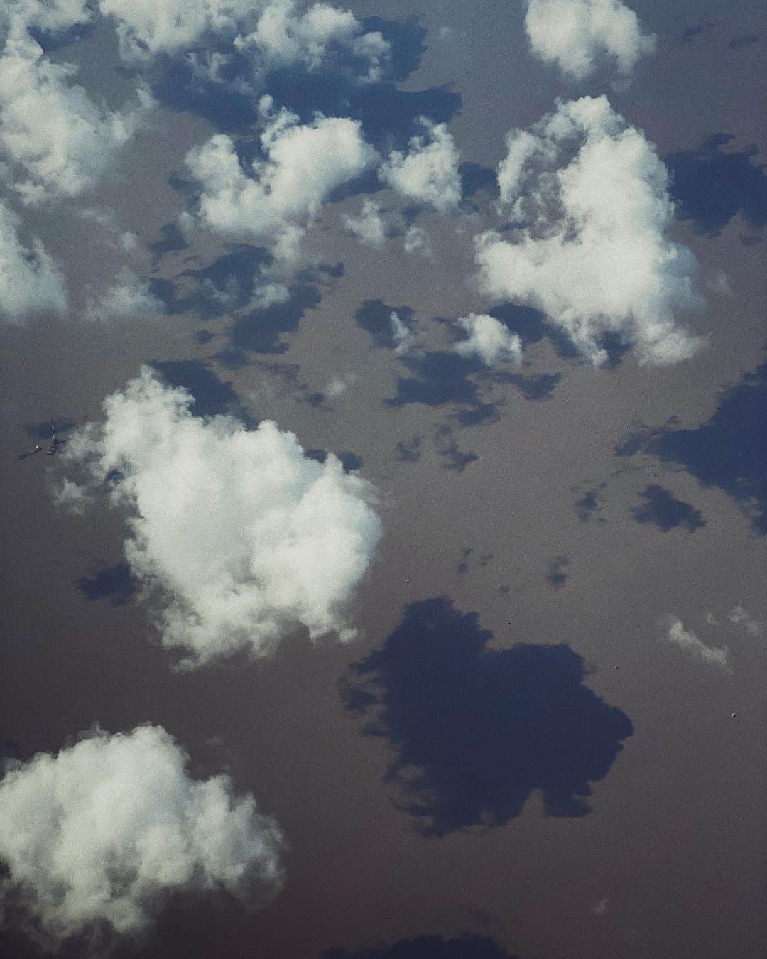リウ・ウェンのインスタグラム：「#WenInFlight」