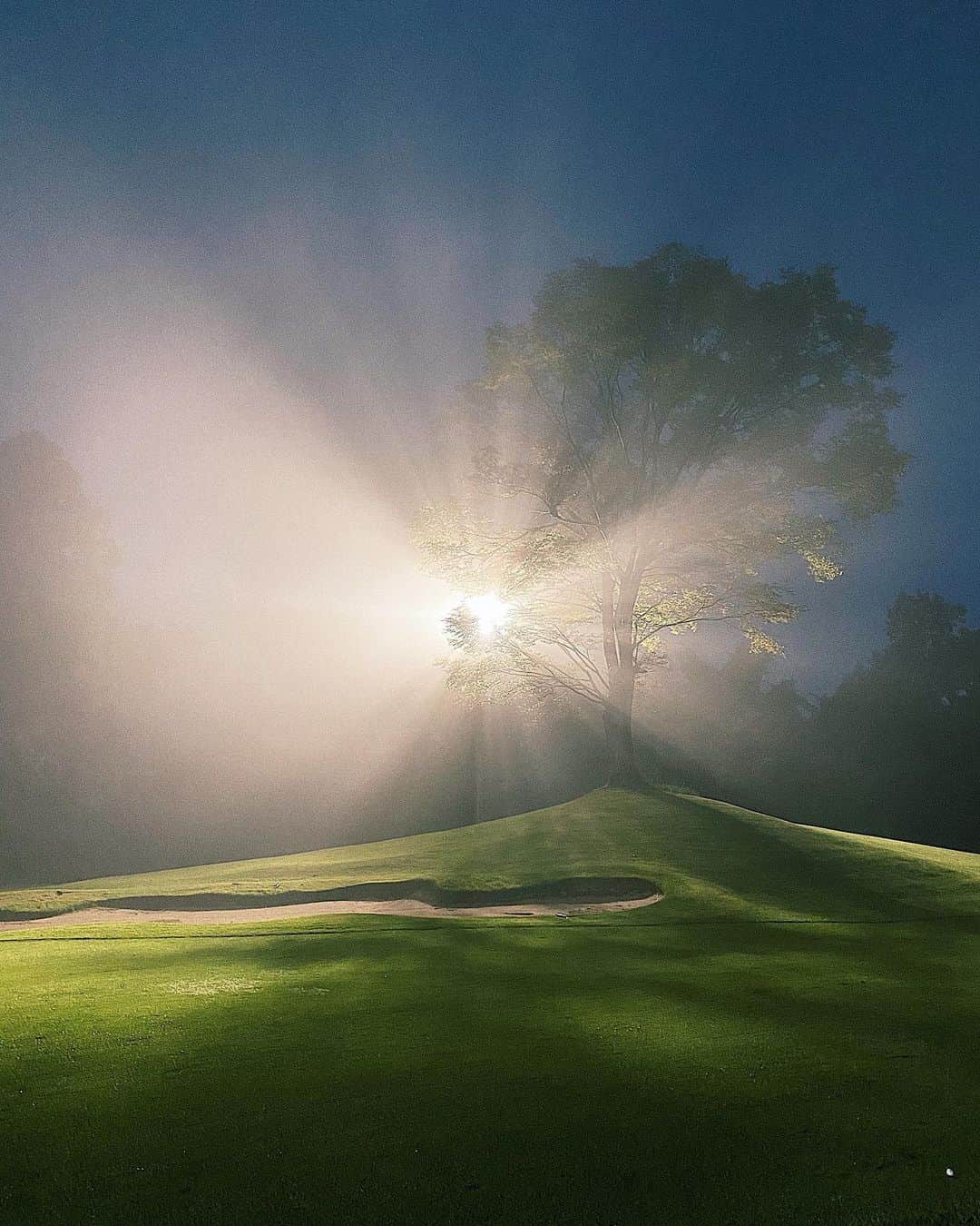 中野英菜のグルメインスタ