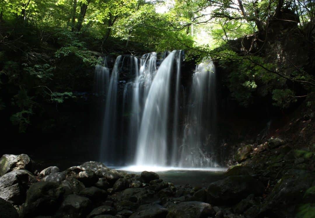 日本の国立公園さんのインスタグラム写真 - (日本の国立公園Instagram)「Follow: @nationalpark_japan⠀ Location: Otome No Taki Waterfall/乙女の滝⠀ .⠀ Otome no Taki is a 5m (16.4 ft) wide waterfall that makes a 10m (32.8 ft) vertical drop on Sawana River. The location is cool even on hot days, making it a wonderful getaway to refresh your body and soul. And it's only a 5-minute walk from the parking lot.⠀ .⠀ On our Instagram, we will also share wonderful photos of National Parks of Japan posted on Instagram with the tag #nationalparksjp. We look forward to your participation!⠀ .⠀ #NikkoNationalPark #日光国立公園 #福島県 #栃木県 #群馬県⠀ .⠀ #NationalPark #nationalparks #nature #findyourpark #instafollow #japan #landscape #landscape_lovers #ourplanetdaily #landscapephotography #hiking #outdoors #traveling #travel #explore #visitjapanjp #日本 #國家公園 #일본 #국립공원 #国立公園」9月29日 15時00分 - nationalpark_japan