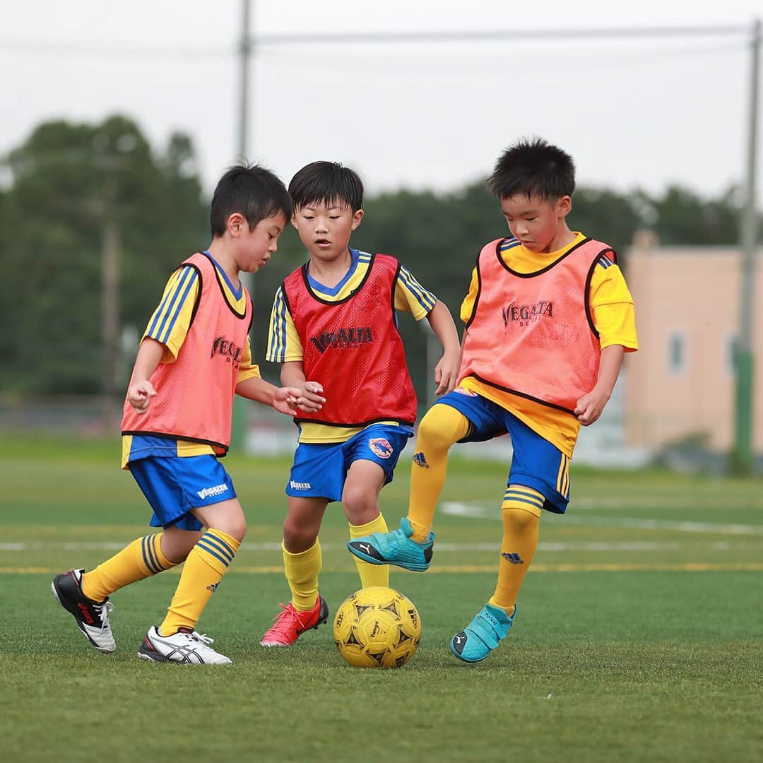 ベガルタ仙台さんのインスタグラム写真 - (ベガルタ仙台Instagram)「ベガルタ仙台サッカースクール 新規入会・紹介キャンペーン ご入会を検討されている方は、ぜひこの機会に！スクール生のみなさん、新しい仲間を紹介してください！ 📸野村校の様子  期間中に新規入会された方にはベガルタタオル、入会者をご紹介してくれたスクール生にはベガルタグッズをプレゼントいたします。 多くのお友達を紹介してくれたスクール生には抽選でベガルタ仙台トップチームユニフォームをプレゼント！  【期間】9/21～10/31 【対象】期間内に「入会手続きを行なった新規ご入会者」または「お友達を紹介してくれたスクール生」 【申込方法】入会・紹介者名とスクール校名をご記入の上ご提出ください。  ベガルタ仙台サッカースクール 仙台市内のみならず、県内12校「泉パークタウン校、泉野村校、若林荒井校、宮城野校、長町校、青葉校、太白校、古川校、石巻校、栗原校、名取校、仙南校」。 「レベルアップ、アドバンス、GK、大人」など特徴のあるコースもあり、各コースで無料体験を受け付けています。自分に合ったぴったりの場所、コースがきっと見つかるはずです。まずは1度お越しください！  ご質問、体験活動等は、スクール事務局、体験・入会申込・スクール生マイページから！ ✉️vegalta_school@vegalta.co.jp 📱022-377-1101（平日12:00～14:30） 🔗https://vegalta.suku2.io  /// #2020_VEGALTA_SENDAI /// #ベガルタ仙台サッカースクール #サッカースクール #仙台 #絆フットボール #Jリーグ #VegaltaSendai #VEGALTA #Sendai #KIZUNAfootball」9月29日 16時14分 - vegaltasendai