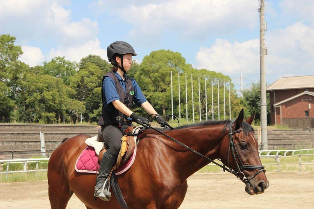 大阪ECO動物海洋専門学校さんのインスタグラム写真 - (大阪ECO動物海洋専門学校Instagram)「動物園・動物飼育専攻 ホースゼミ🏇 馬に乗るのは見た目よりも難しい！ より上手になれるよう日々励んでいます✨  #大阪ECO #大阪eco #大阪ECO動物海洋専門学校 #動物 #専門学校 #馬 #ホース #horse」9月29日 16時45分 - osaka_eco