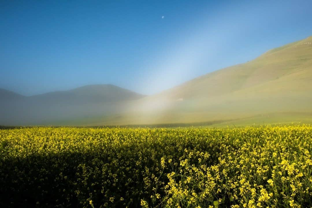 National Geographic Travelさんのインスタグラム写真 - (National Geographic TravelInstagram)「Photo by @francescolastrucci / A few weeks ago, driving along the winding mountain roads of the Apennines to Castelluccio di Norcia in the early hours of the morning, I cleared the last hill right after sunrise. The landscape that opened up before me was surprising: The plateau of Castelluccio di Norcia, in this remote part of Italy's Umbria region, was completely hidden by a thick mist. I didn’t have to wait too long for the early morning rays of the sun to magically dissolve the mist, revealing fields of poppies and lentils in bloom, backed by the gentle peaks of the Sibillini Mountains. Part of a national park, the area was impacted by the 2016 earthquake, from which it is still recovering. It is partly sustained by tourism to Sibillini's wonderful sites and routes. Follow me @francescolastrucci for more places, daily life, and stories around the world. #italy #nature #landscape」9月29日 17時09分 - natgeotravel