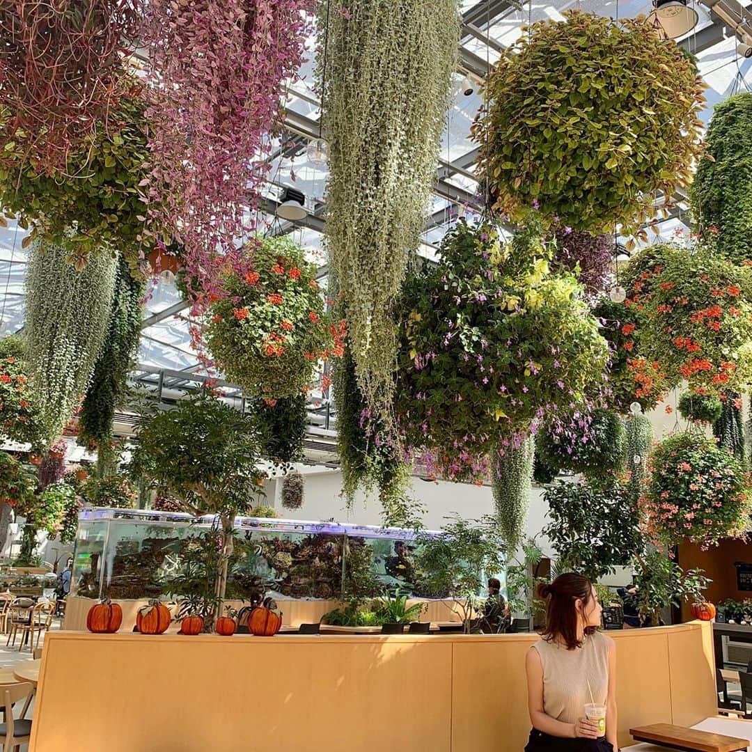 須貝茉彩のグルメインスタ