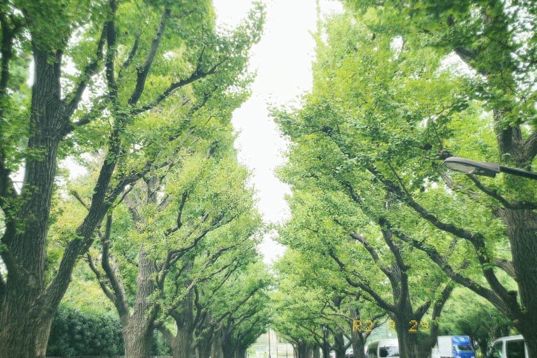杉原由規奈さんのインスタグラム写真 - (杉原由規奈Instagram)「高校からの親友とゆっくり時間した。リフレッシュ。」9月29日 17時26分 - yukina.sp