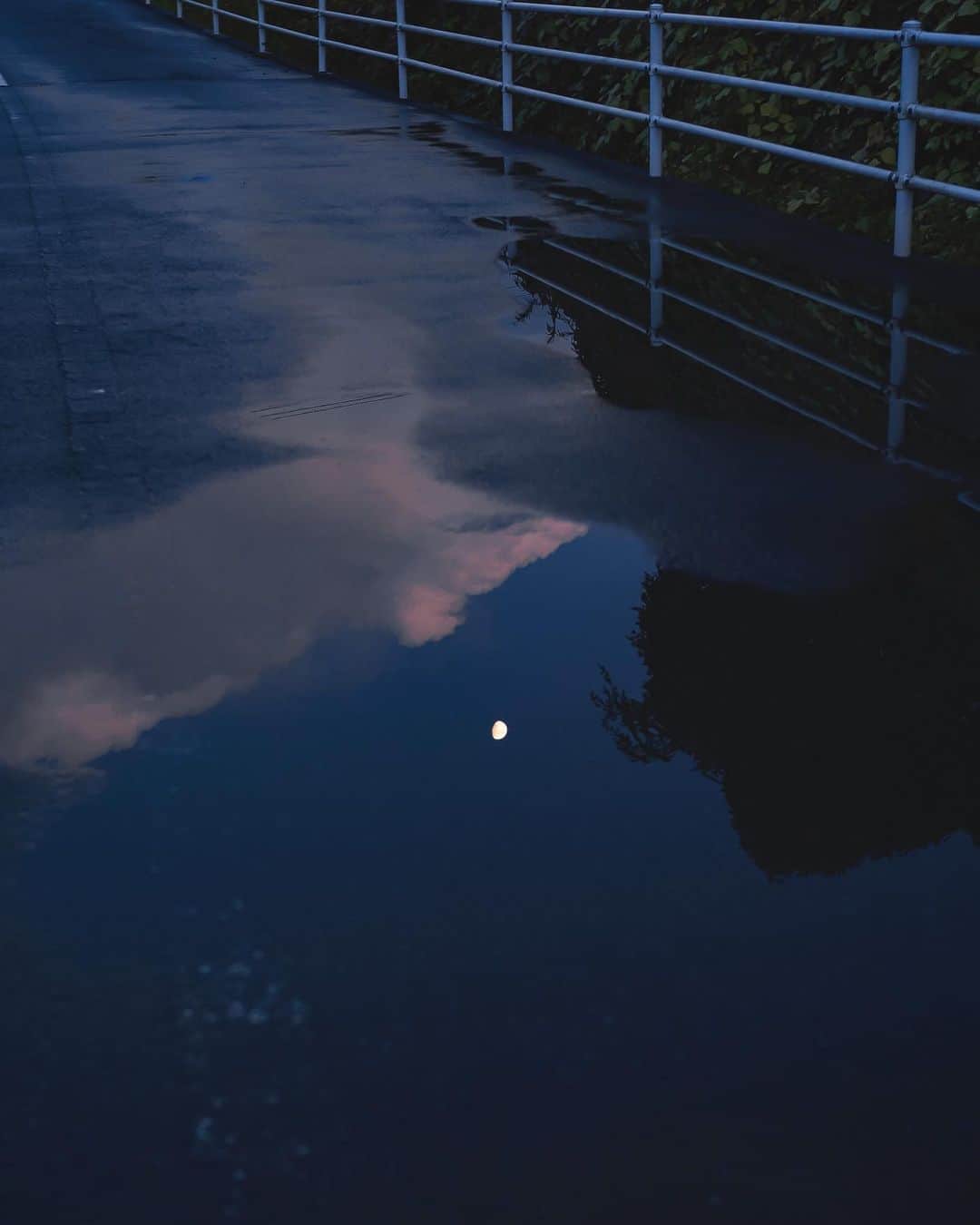 国分真央さんのインスタグラム写真 - (国分真央Instagram)「.﻿ 雨と夜の隙間に﻿ ﻿ ﻿」9月29日 17時39分 - mao_kokubu