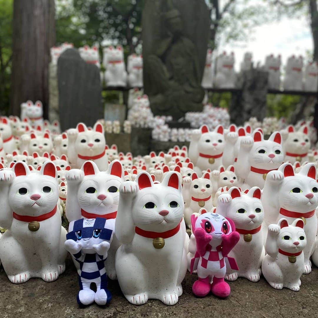 2020年東京オリンピックさんのインスタグラム写真 - (2020年東京オリンピックInstagram)「Happy Maneki Neko Day! 🐈  The 'beckoning cat' is a beloved icon in Japan🗾 and known around the world. 🌐😻   But #DYK the story behind these adorable waving figurines? 🤔 Find out below 👇  Swipe ◀️ and see if you can find #Miraitowa and #Someity hiding in a cute sea of Maneki Neko!」9月29日 18時13分 - tokyo2020