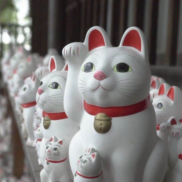 2020年東京オリンピックのインスタグラム：「Happy Maneki Neko Day! 🐈  The 'beckoning cat' is a beloved icon in Japan🗾 and known around the world. 🌐😻   But #DYK the story behind these adorable waving figurines? 🤔 Find out below 👇  Swipe ◀️ and see if you can find #Miraitowa and #Someity hiding in a cute sea of Maneki Neko!」