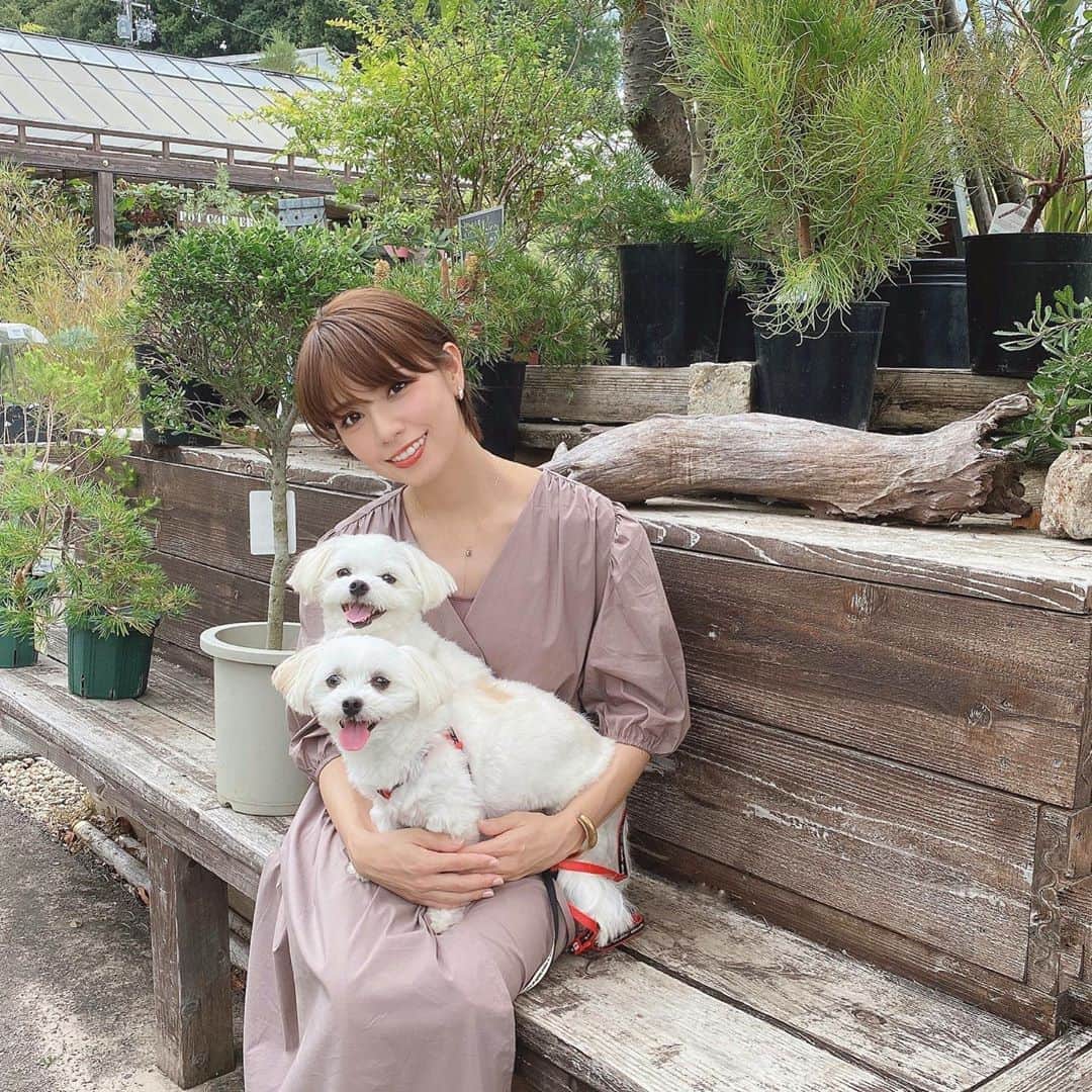 筒井愛実さんのインスタグラム写真 - (筒井愛実Instagram)「． the Farm universal🌿🏕🚗 ． ドッグラン付きのカフェがあって、ワンちゃん用のプレートランチもあるのでマメモチが大喜びする場所🐶🐶💕 写真も超ニコニコで可愛い☺️🤳♡ ． ドッグランは大型犬と小型犬で分かれてるし、人用の食事もとっても美味しいから私たちも大好き🤤🍕🍺←ビールもある🤫 ちなみにマナーウエアが必須です🚼 ． #thefarmuniversal #犬とおでかけ関西」9月29日 18時27分 - manamin_158cm