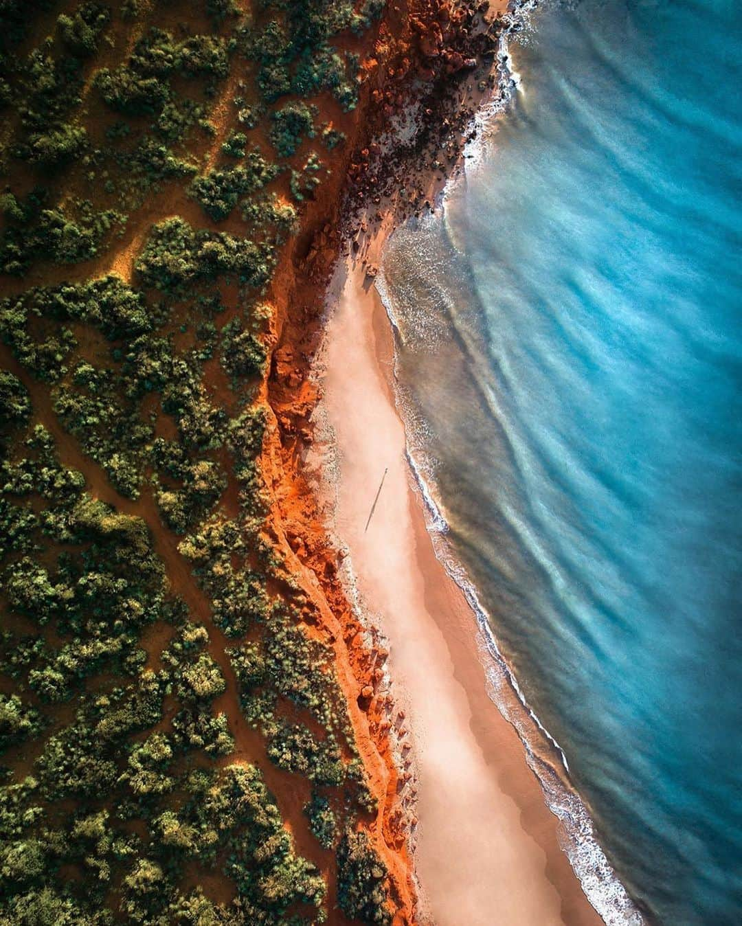 Discover Earthさんのインスタグラム写真 - (Discover EarthInstagram)「Shark Bay in Australia, a place with striking red cliffs and the most pristine beaches. 🇦🇺 #discoverAustralia with @merrwatson #beach #australia #sharkbay #cliff #westernaustralia」9月30日 4時23分 - discoverearth