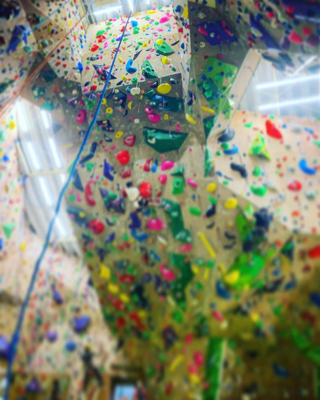 藤井快さんのインスタグラム写真 - (藤井快Instagram)「Complete!!💥💥💥 Finally TSUNAMI wall done ✅  人生で初めて @pump2climbing のTSUNAMI をコンプリート！ こっそり通ってた成果が出て嬉しいな！😭  現セットの13台、14aは無くなってしまうので、宿題の回収はお早めに！👍  @adidasterrex  @fiveten_official  @alpinawatchesjapan  @au_official  @in_jelly_  @morinagatraininglab  @organicclimbing  @frictionlabs  #adidas #fiveten #alpinawatches #TEAMau #森永製菓トレーニングラボ」9月29日 20時36分 - fujii_kokoro