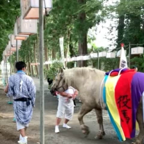 あかつのインスタグラム：「いわきは涼しく過ごしやすい日も増えてきました！ 今年の夏は、地元のお祭りも中止だったのでお馬さんとたわむれる事も出来ませんでした・・・ 来年はお馬さんに会いたいなぁ〜！  #熊野神社 #福島県 #いわき市 #祭 #馬」