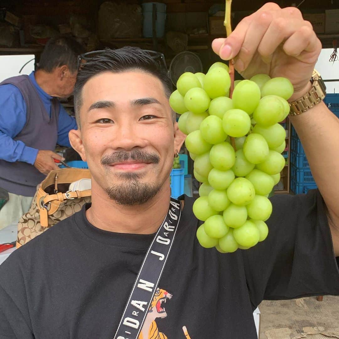 岸本加世子さんのインスタグラム写真 - (岸本加世子Instagram)「山梨の勝沼にシャインマスカット狩りです。たわわに実ったシャインマスカット。#bravegym  #芦田崇宏#岸本篤史#やついいちろう」9月29日 21時28分 - kayokokishimoto